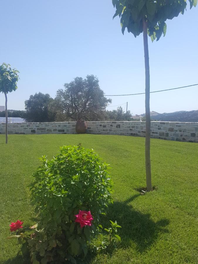 Villa Jodi Picídia Kültér fotó